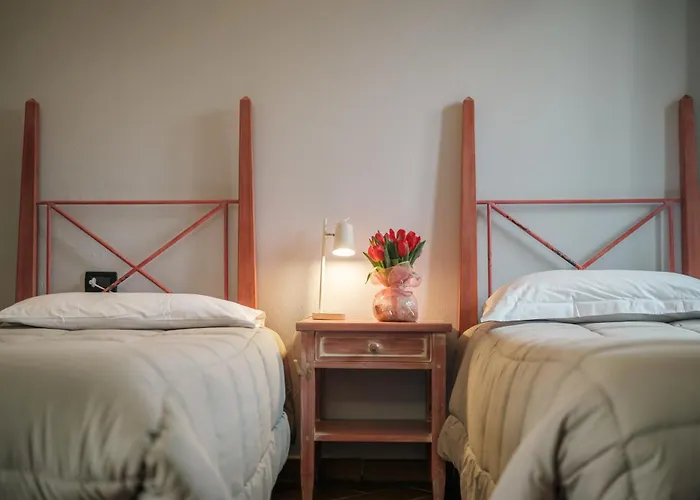 Dell'oca Bianca 3* 科莫